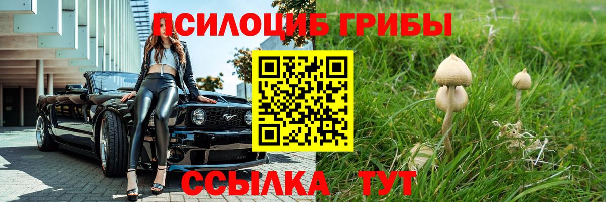 Галлюциногенные грибы Psilocybine cubensis  Вход с VPN  Гусиноозёрск 